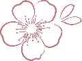 sakuradesign